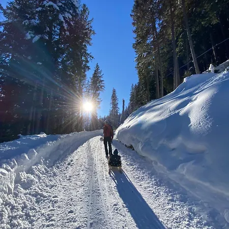 شقة Haus Koidl تكس