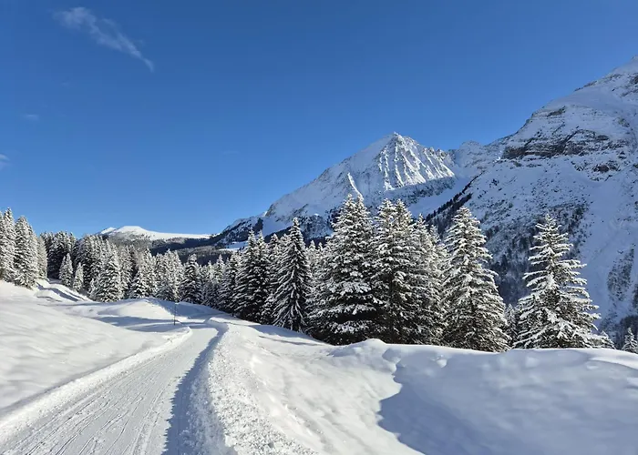 豪斯克伊德公寓 * 图克斯