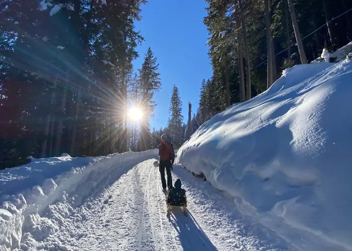 Apartament Haus Koidl Tux